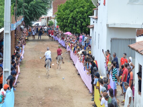 Mantendo a tradição: Corrida de Jegues em Bom Jesus distribuirá R$ 10 mil em prêmios no domingo de Carnaval