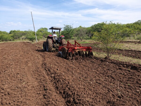 100% gratuito: Prefeitura de Bom Jesus reforça apoio ao homem do campo e inicia corte de terra 2026
