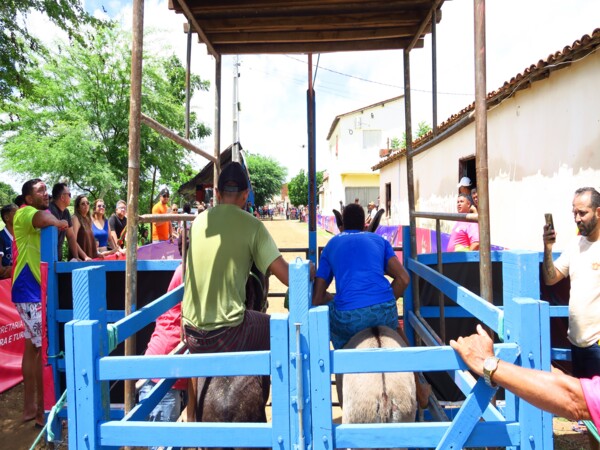 ALPB reconhece Corrida de Jegues de Bom Jesus como Patrimônio Cultural Imaterial da Paraíba