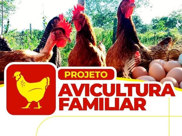 Com recursos próprios: Prefeitura lança projeto Avicultura Familiar, gerando mais renda para quem vive no campo